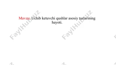 uchib ketuvchi qushlar asosiy turlarining hayoti — PPTX
