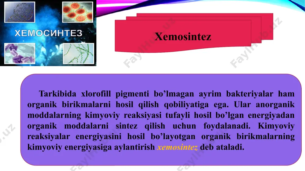 xemosintez - Page 3