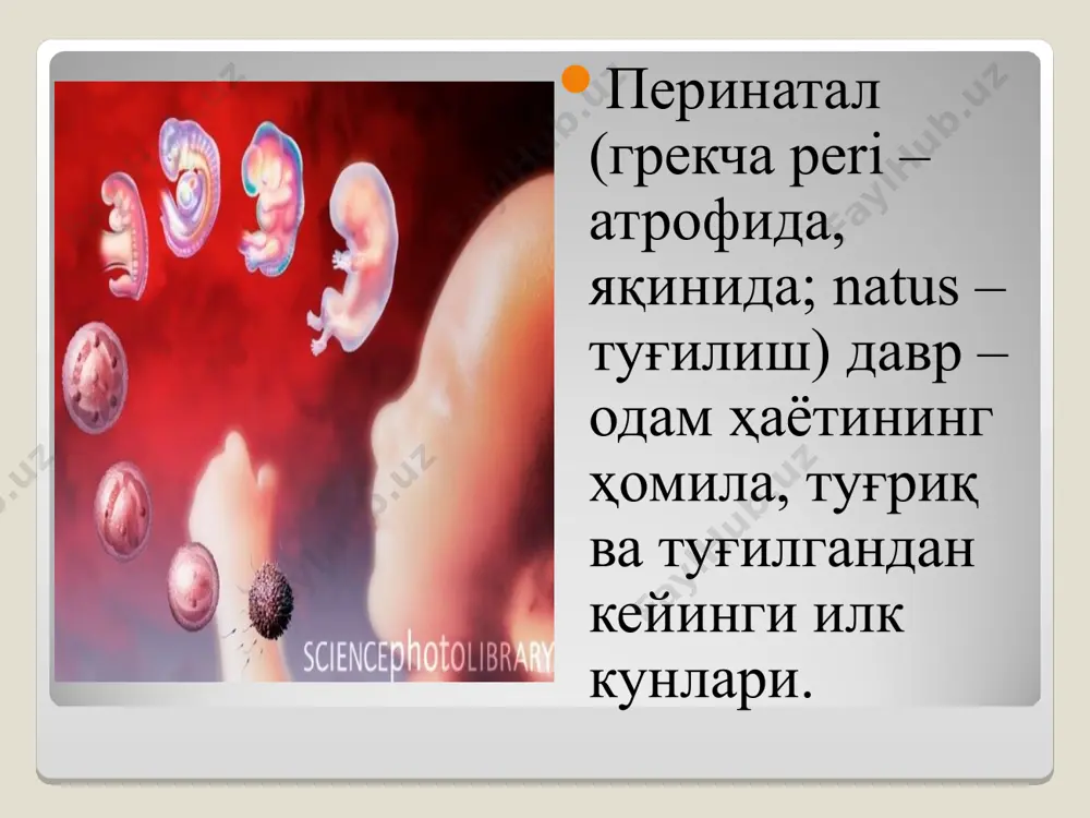 сини кузата олиш қобилияти шаклланади перинатал даврнинг охирги ҳафталарида муайян турдаги товуш ва таъмга нисбатан маъқул кўриш хусусияти шаклланади 38 ҳафтага келиб яшаш учун керак 70 га яқин рефлектор ҳаракатлар шаклланган бўлади туғилиш даври – инсон ҳаётидаги илк психик инқироз давридир нима учун? ҳаётнинг бола учун одатий бўлган муҳитдан бутунлай фарқли муҳитда давом эттирила бошланиши. янгича шароитда яшаш учун зарур хулқ-атвор шаклларинининг ҳали шаклланмаганлиги. туғилганда боланинг тери сезгиси, таъм ва ҳид билиш сезгилари кўриш ва эшитиш нисбатан яхши ривожланган бўлади 2-3 ҳафтада товушда, 3-4 ҳафтада одам овозида, 4-5 ҳафтада ярқин буюмларда диққатни қисқа муддатга жамлаш хусусияти шаклланади тахминан 1 ойдан кейин “тирилиш комплекси” – онасининг юзида нигоҳини ушлаб туриш, унга қўл-оёқларни фаол ҳаракатлантириб, табассум қилиб мурожаат этиш хусусияти шаклланади а.слейтер (7 соатлик чақалоқлар билан тажриба) 41 секунд/20 секунд 41 секунд гўдаклик даврида (тахминан 2 ойдан 1 ёшгача) психик ривожланишнинг айрим муҳим хусусиятлари катталар билан бевосита эмоционал мулоқот етакчи фаолиятга айланади …