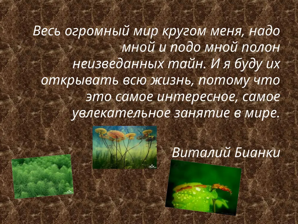 жизненные формы растений - Page 3