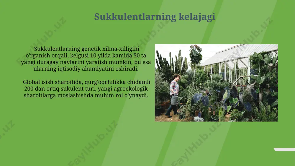 suvo‘tlarning sistematikasi - Page 5