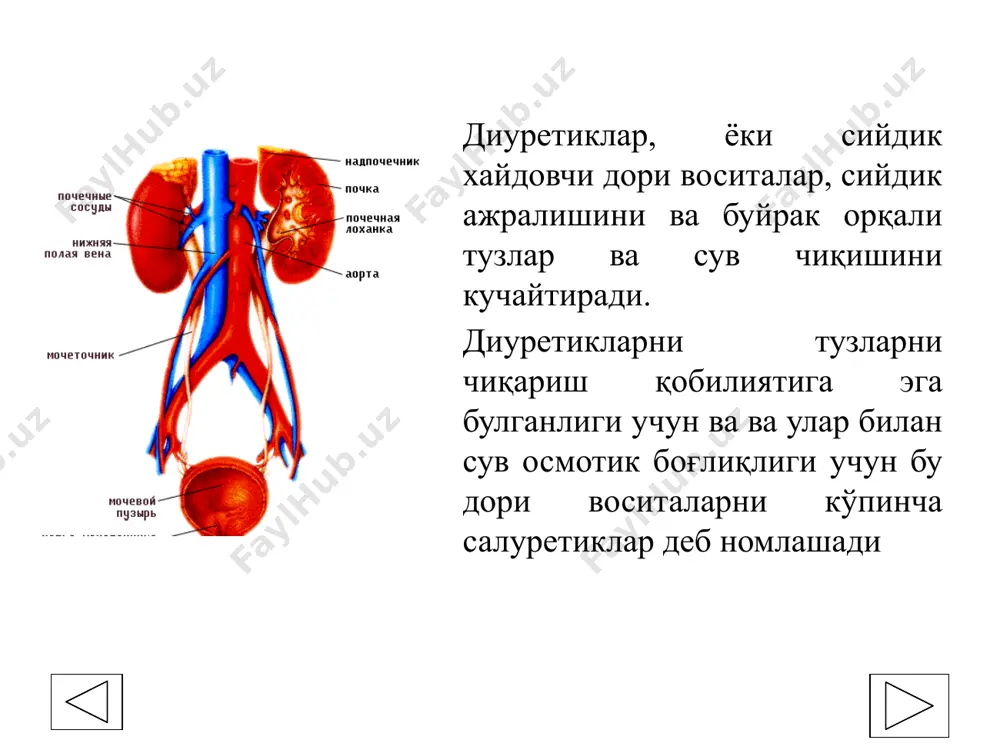 мембрана сатхида таъсир берадиган воситалар. 1.1.1. натрий олиб ўтувчига рақобатлашадиган, ёки альдостероннинг рақобатлашмайдиган антагонистлари — триамтерен, амилорид. 1.1.2 альдостероннинг рақобатлашадиган антагонистлари — спиронолактон, эплеренон. 1.2. базал мембрана сатхида таъсир берадиган воситалар 1.2.1. карбоангидраза ингибиторлари — диакарб. 1.2.2. тиазидли диуретиклар — гидрохлортиазид, циклометиазид. 1.2.3. тиазидсимон диуретиклар — хлорталидон, клопамид, индапамид. 1.2.4. халқали диуретиклар — фуросемид, этакрин кислота, буметонид, торасемид. 2. осмотик фаол диуретиклар — маннит, мочевина. 3. буйракларда қон айланишини кучайтирадиган воситалар — факультатив диуретиклар-ксантинлар, аминофиллин, эуфиллин , юрак гликозидлари ва ҳ.к. 4. доривор ўсимликлар - дала қирқбўғини, арчагул барглари, қайин куртаги, ортосифон барглари, брусника барглари, ўрмон ер тути меваси, маккажўхори попуги ва ҳ.к. диуретикларни таъсир бериш кучи бўйича таснифи 1. кучли сийдик хайдовчи воситалар— фуросемид (лазикс), торасемид (торсид, трифас), этакрин кислота (урегит), клопамид (бринальдикс), осмодиуретиклар (маннит, мочевина) и др. 2. ўрта кучли сийдик хайдовчи воситалар— тиазидлар: гидрохлортиазид (гипотиазид, дихлотиазид), циклометиазид ва тиазидсимонлар — хлорталидон , индапамид, металозон(оксодолин, гигротон) ва ҳ.к. …