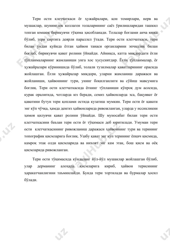 сининг миқдорига боғлиқ. терида қолдирилган тери ости клетчаткасининг қавати қанча юпқа бўлса, уни яхши сақлаш шунча осонлашади, сифати ва ишлатилиши таъминланади. тери топографияси. тери топографияси (грекчадан topos – жой, grapho- ёзаман) деб, терининг ҳар хил қисмларининг майдони бўйлаб ўзаро жойланишига айтилади. терининг топографик қисмлари (1-расм) ҳар хил хоссаларга эга, чунки улар бир – биридан қалинлиги, зичлиги, толалар ўрилишининг табиати ва бир қатор бошқа белгиларига қараб фарқланади. тери умумий қалинлигининг ўзгариши асосан тўрли қават қалинлигининг ўзгариши туфайли келиб чиқади, чунки ғуддали қават қалинлиги нисбатан кам ўзгаради. терининг юпқароқ қисмлари – этак қисмида ғуддали қават, унинг йўғонроқ қисми -ёпқичга нисбатан қалинроқ бўлади. ёпқич дермасининг структураси коллаген толалари боғламиининг анча йўғонлиги билан тавсифланади; бу боғламлар бир - бирига зич ёндашиб, ҳар хил текислик ва йўналишлар бўйича қалин боғламларни ҳосил қилади. бунда вертикал ва диоганал боғламларнинг мавжудлиги туфайли ромб кўринишидаги ҳалкалар ҳосил бўлади. бундай структура туфайли терининг ёпқич қисми чўзилганда юқори мустаҳ-камлиги ва чўзилганда …