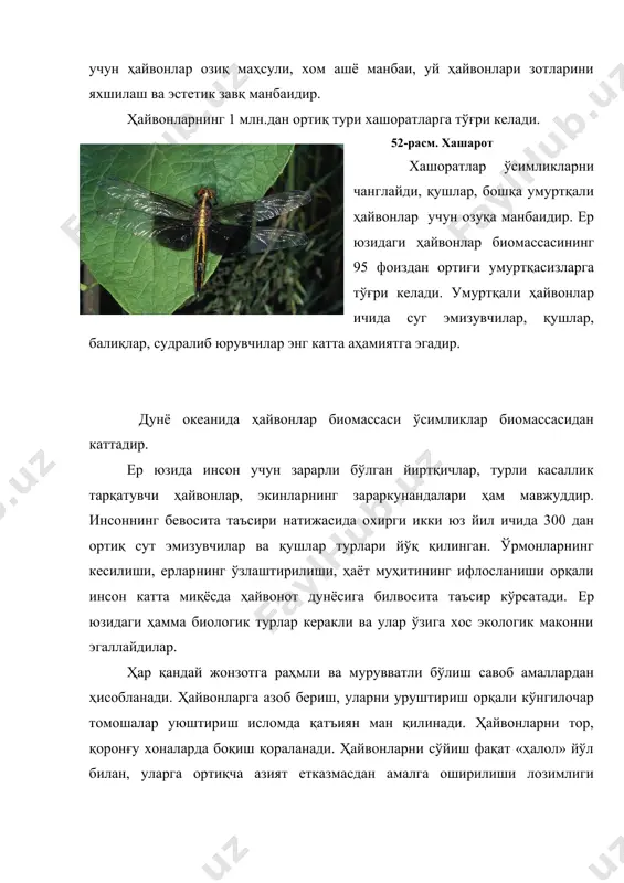 ахоналар ташкил қилиш фаолияти жадаллашган. қўриқхона деганда инсоннинг ҳар қандай хўжалик фаолияти тақиқланган, табиат комплекси асл ҳолида сақланадиган ҳудудларга айтилади. миллий боғларда табиатдан фойдаланиш, аҳоли дам олиши учун шароитлар ҳам мавжуддир. буюртмахоналарда қисман муҳофаза ёки тўлиқ муҳофаза таъминланиши мумкин. бундай алоҳида муҳофаза қилинадиган ҳудудларда йўқолиб бораётган ноёб ўсимлик ва ҳайвонлар, табиат комплекси муҳофаза қилинади. ислом динида қўриқланадиган ҳудудларни ташкил қилишга эътибор қаратилган ва «хайма» деб аталадиган одат қадимдан маълум. бунда ҳеч кимга қарашли бўлмаган ҳудудлар муҳофаза қилинади ва у ерларни ўзлаштириш ман қилинади. пайғамбаримиз(с.а.в) замонларида макка ва мадина шаҳарлари ичидаги ва ён атрофидаги дарахтлар, қушлар, ўт-ўланлар муҳофазага олинган. бу қонунни бузган кишининг қуроли тортиб олиниб, қаттиқ танбеҳ берилган. инсон томонидан бузилмаган ҳудудлар «харам» деб номланган ва ундай ерлар фақатгина алоҳида рухсат билан ўзлаштирилган. «хайма» ва «харам» тушунчалари табиатни муҳофаза қилишда юқори салоҳиятга эгадир. ушбу ҳудудлар қуйидаги сабабларга кўра қийматга эгадир: -бузилган ерларни тиклаш имкониятини беради; -биологик хилма-хилликни сақлайди; -сув айриғичлар …
