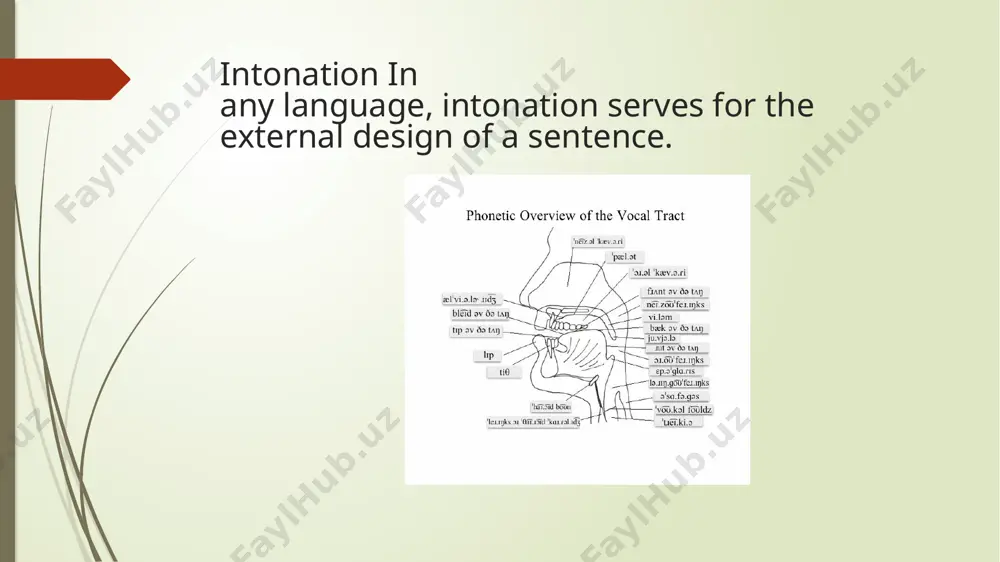 phonetic features of the ancient period of the studied language - Page 5
