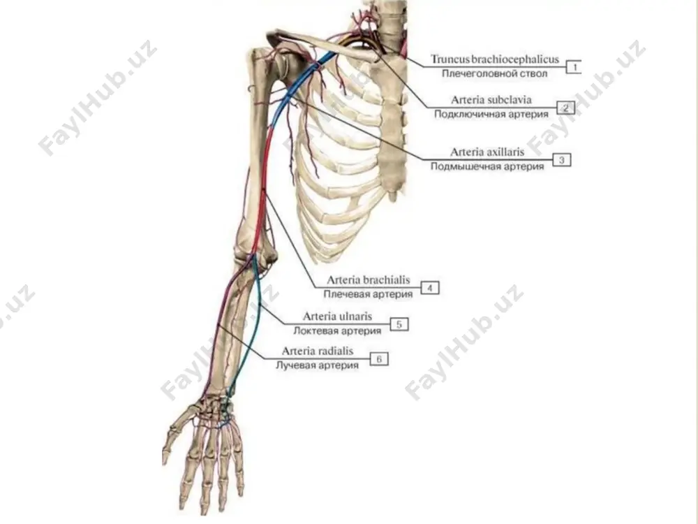 medical leaders` club - Page 3