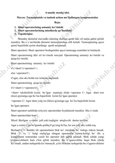 shart operatorining umumiy ko’rinishi — DOC