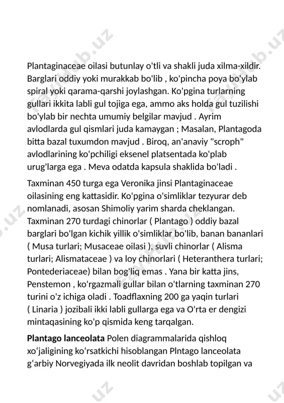 shlatiladi. an'anaviy avstriya tibbiyotida plantago lanceolata barglari nafas olish yo'llari, teri kasalliklari, hasharotlar chaqishi va infektsiyalarni davolash uchun ichkarida (sirop yoki choy sifatida) yoki tashqaridan (yangi barglar) ishlatilgan. barglarini yoshligida yeyish mumkin. plantago lanceolata tarkibida akteozid (verbaskozid), sistanozid f, lavandulifoliozid, planamajozid va izoakteozid kabi feniletanoidlar mavjud. bundan tashqari, u iridoid glikozidlar aukbin va katapolni o'z ichiga oladi. bu iridoid glikozidlar oʻsimlikni baʼzi oʻtxoʻrlar uchun yemaydigan qilib qoʻyadi, biroq boshqalari ular tomonidan bezovtalanmaydi — masalan, lichinkalari plantago lanceolata barglarini yeydi va iridoid glikozidlarni yutib, yirtqichlar uchun yoqimsiz holga keltiradigan junonia coenia paqir kapalak. urug‘ini qo‘shiqchi qushlar, barglarini quyonlar yeydi. plantago mayor zubturum - plantago mayor, zubturumdoshlar (plantaginaceae-nogopo) oilasiga mansub ko'p yillik, ildizpoyali o't o'simlik bo'lib, yer ustiga uzun qanotli, bandli ildiz oldi to'p barglari va gul o'qi o'sib chiqadi (1 yoki bir nechta). guli mayda, ko'rimsiz. gul kosachasi 4 bo'lakka qirqilgan, gultojisi och ko'ng'ir rangli 4 bo'lakli, otaligi 4 ta. onalik …