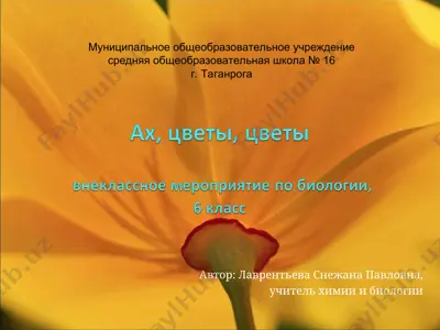 малая цитата г.х. андерсена — PPT