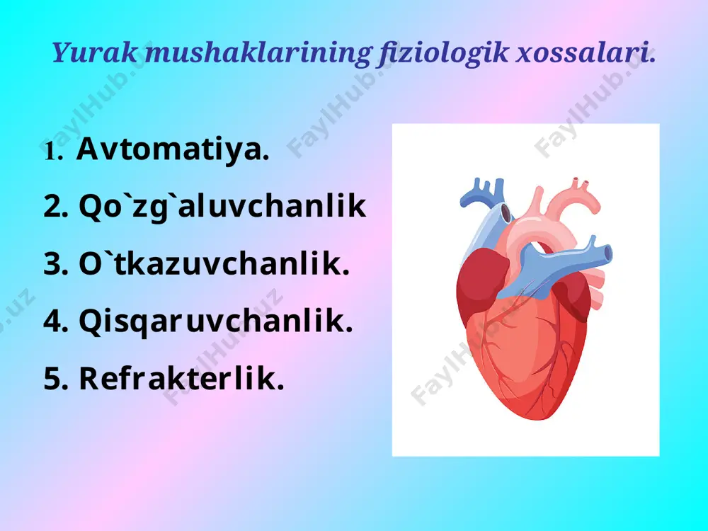 yurakning gemodinamik vazifasi - Page 4