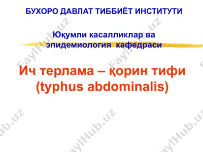 ич терлама –қорин тифи (typhus abdominalis) — PPT