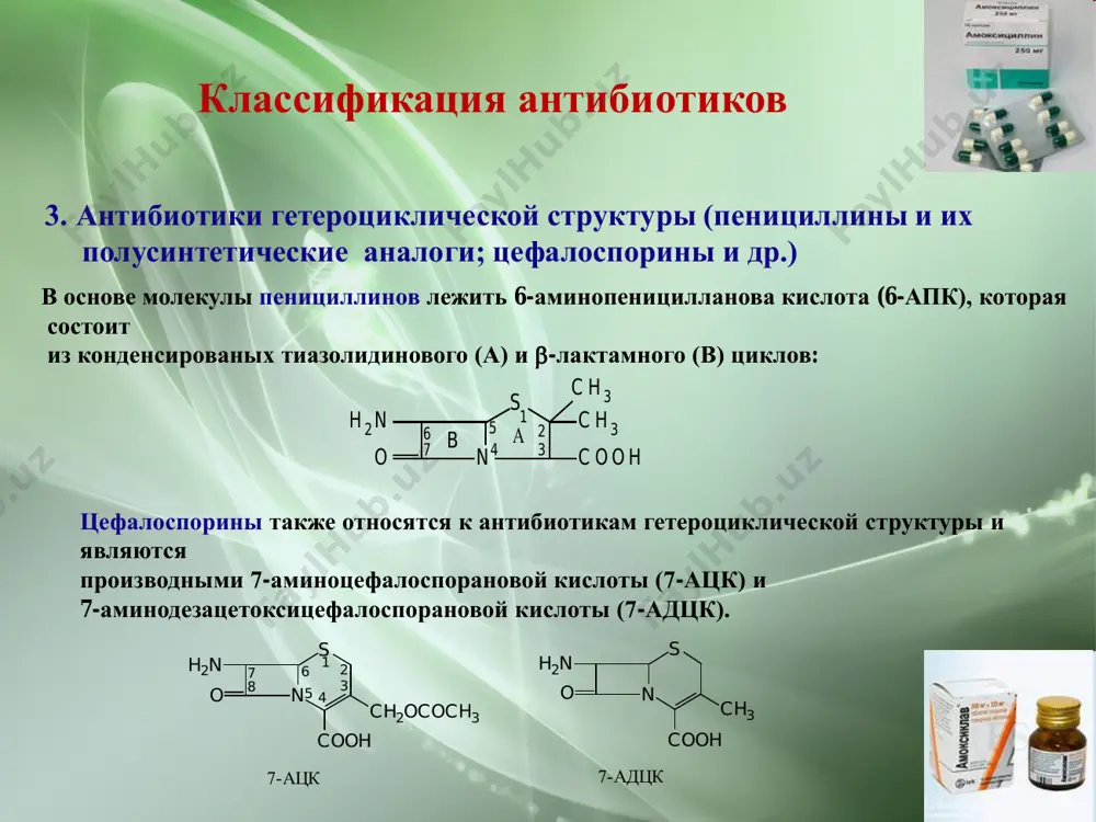 дительных штаммов продуцентов; -подбор питательных сред; -процесс биосинтеза (ферментации); -выделение и очистка антибиотика. для проявления биологической активности большое значение имеет целостность -лактамного цикла, который очень неустойчив в кислой и щелочной средах. пенициллин стоит у истоков эры антибиотиков и в связи с его широким применением в настоящее время 80-90% штаммов стафилококков устойчивы к нему, вырабатывая фермент пенициллиназу, которая расщепляет -лактамный цикл. 19 природные пенициллины n s ch 3 ch 3 coor 1 o o r c nh n h 2 c o o (c h 2 )2 n h c 2 h 5 c 2 h 5 + в медицинской практике применяют следующие лекарственные средства пенициллинов общей формулы: природные пенициллины r r1 названия 1 2 3 –ch2–c6h5 na(k) бензилпенициллина натриевая (калиевая) соль (гфу) benzylpenicillinum natriсum (kaliсum) benzylpenicillin sodium* (potassium*) натрия (калия) (2s,5r,6r)-3,3-диметил-7-оксо-6- [(фенилацетил)амино]-4-тиа-1-азабицикло[3.2.0]гептан-2- карбоксилат –ch2–o–c6h5 h феноксиметилпенициллин phenoxymethylpenicillinum (penicillium v – пенициллин фау) –ch2–c6h5 бензилпенициллина новокаиновая соль benzylpenicillinum novocainum 20 полусинтетические …