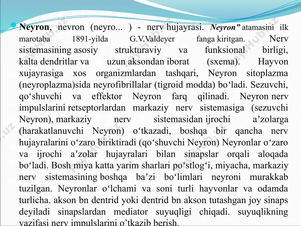 uzilmalar – tigroid modda (nissl tanachalari) va neyrofibrillalarning borligini ko’rish mumkin. nerv tanasi dentritlar ta’sirotlarni qabul qiluvchi va nerv impulsini hujayra tanasiga o’tkazuvchi o’simtalar dendritlar deb nomlanadi. dentrit atamasini ilk marotaba fanga 1889-yilda shveysariyalik gistolog vilgelm gis tomonidan kiritilgan. dendrit bo’yicha impuls neyron tanasi tomon intiladi. ular unchalik uzun emas va neyron tanasi yaqinida daraxtga o’xshab shoxlanib tugallanadi. dentritlar aksonlardan farqli ravishda o’zida juda ko’p ribosomalarni tutadi. dendritlar miqdori turli neyronlarda turlichadir. ko’pchilik dendritlar maxsus tuzilishga ega bo’lgan sezuvchi nerv oxirlari (retseptorlar) bilan tugaydi. boshqa dendritlar esa qo’shni neyronlarning aksonlari bilan sinaps hosil qiladi. masalan, miyachaning po’stloq qismidagi purkine hujayralari dendritlarida 200000 ga yaqin akson terminallari aniqlangan. dendritlar butun bo’yi bo’yicha bir xil uzunlikka ega bo’lmay, ba’zi joylarda bo’rtib chiqqan do’mboqchalar hosil qiladi. akson bitta neyronda asosan, bitta akson bo’ladi. odatda, akson juda uzun bo’ladi. aksonlar dendritlardan farq qilib, doimiy diametrga ega bo’ladi. shuningdek, aksonlar bor bo’yiga do’mboqchalar hosil qilmaydi. …