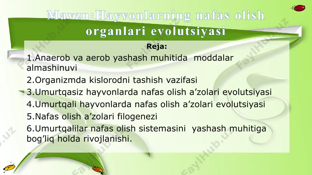 liqlarning nafas olish a’zosi suvda hamda quruqlikda yashovchilar nafas olish a’zosi qushlarning nafas olish a’zosi sutemizuvchilarning nafas olish a’zolari baliqlar bilan suvda hamda quruqlikda yashovchilarning nafas olish sistemasidagi o’xshashlik va farqlarni tushuntiring. sudralib yuruvchilar bilan qushlarning nafas olish sistemasidagi o’xshashlik va farqlarni tushuntiring. qushlar bilan sutemizuvchilarning nafas olish sistemasidagi o’xshashlik va farqlarni tushuntiring.