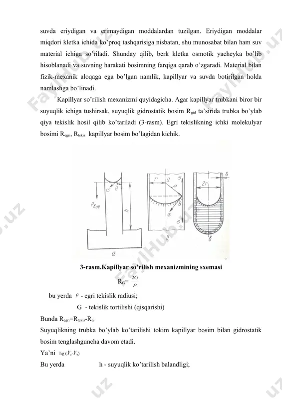 yacheyka bo’lib hisoblanadi va suvning harakati bosimning farqiga qarab o’zgaradi. material bilan fizik-mexanik aloqaga ega bo’lgan namlik, kapillyar va suvda botirilgan holda namlashga bo’linadi. kapillyar so’rilish mexanizmi quyidagicha. agar kapillyar trubkani biror bir suyuqlik ichiga tushirsak, suyuqlik gidrostatik bosim rgid ta’sirida trubka bo’ylab qiya tekislik hosil qilib ko’tariladi (3-rasm). egri tekislikning ichki molekulyar bosimi regri, rtekis kapillyar bosim bo’lagidan kichik. 3-rasm.kapillyar so’rilish mexanizmining sxemasi rg= bu yerda - egri tekislik radiusi; g - tekislik tortilishi (qisqarishi) bunda regri=rtekis-rg suyuqlikning trubka bo’ylab ko’tarilishi tokim kapillyar bosim bilan gidrostatik bosim tenglashguncha davom etadi. ya’ni hg ( c- b) bu yerda h - suyuqlik ko’tarilish balandligi; g -erkin tushish tezligi; c - suyuqlik zichligi; b -suyuqlik bug’ining zichligi. gidrostatik va kapillyar bosimning tengligini hisobga olgan holda, kapillyardagi suyuqlikni qanchalik balandlikka qo’tarilganini quyidagicha topish mumkin: h= menisk radiusini kapillyar radiusi orqali ifodalab quyidagini olamiz h= bu yerda - chetki shilish burchagi. r - kapillyar …