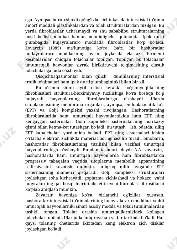 tirok etadi. umurtqasiz hayvonlarning interstisial to’qimalari interstisial to’qima deb, parenximatoz organlarning stromalarini hosil qiluvchi tolali siyrak biriktiruvchi to’qimaga aytiladi. uning sinonimi interstisiy - oraliq degan ma’moni anglatadi. u, aksariyat umurtqasiz hayvonlarda bo’ladi. masalan, birlamchi og’izliladan bo’g’imoyoqlilarda interstisial trofik to’qima harakterli tuzilishiga ega. ayniqsa, burun shoxli qo’ng’izlar lichinkasida interstisial to’qima amorf moddali plastinkalardan va tolali strukturalardan tuzilgan. bu yerda fibroblastlar uchramaydi va shu sabablibu strukturalarning hosil bo’lish manbai hamon noaniqligicha qolmoqda. ipak qurti g’umbagida hujayralararo moddada fibroblastlar ko’p bo’ladi. zovarzin (1985) ma’lumotiga ko’ra, ba’zi bir hashoratlar hudayralararo moddasining ayrim joylarida elastaza fermenti kesmalaridan chiqqan tolachalar topilgan. topilgan bu tolachalar umumrtqali hayvonlar siyrak biriktiruvchi to’qimasining elastik tolachalariga juda o’xshaydi. qisqichbaqasimonlar bilan qilich dumlilarning interstisial trofik to’qimalari ham ipak qurti g’umbagininki bilan bir xil. bu o’rinda shuni aytib o’tish kerakki, bo’g’imyoqlilarning fibroblastlari struktura-bioximiyaviy tuzilishiga ko’ra boshqa ko’p hujayrali hayvonlarning fibroblastlariga o’xshaydi. ularda sitoplazmasining membrana organlari, ayniqsa, endoplazmatik to’r (ept) va golji kompleksi yaxshi …