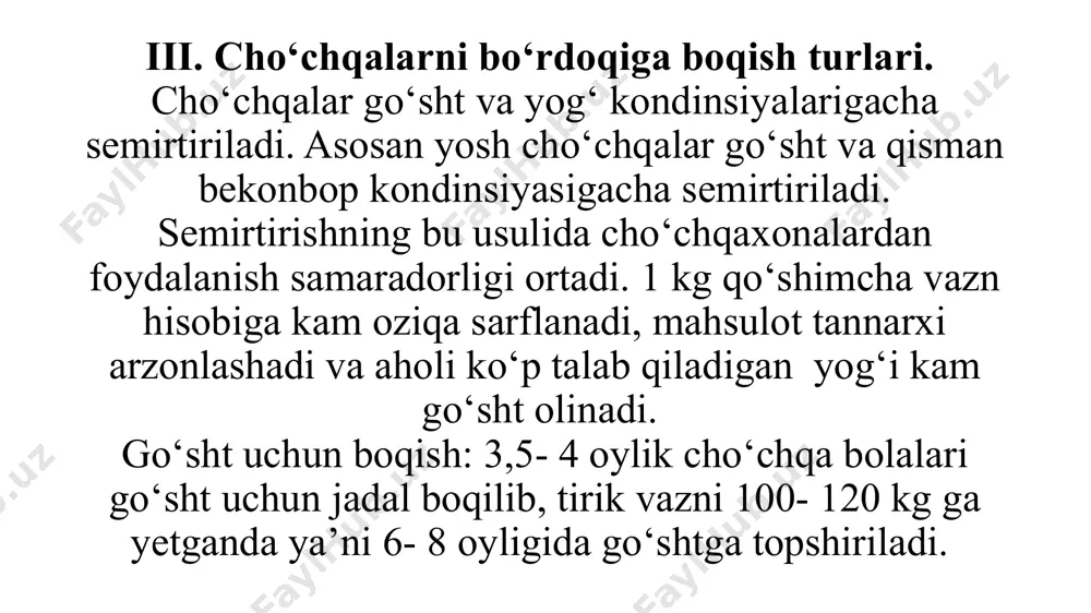 cho‘chqachilik - Page 4