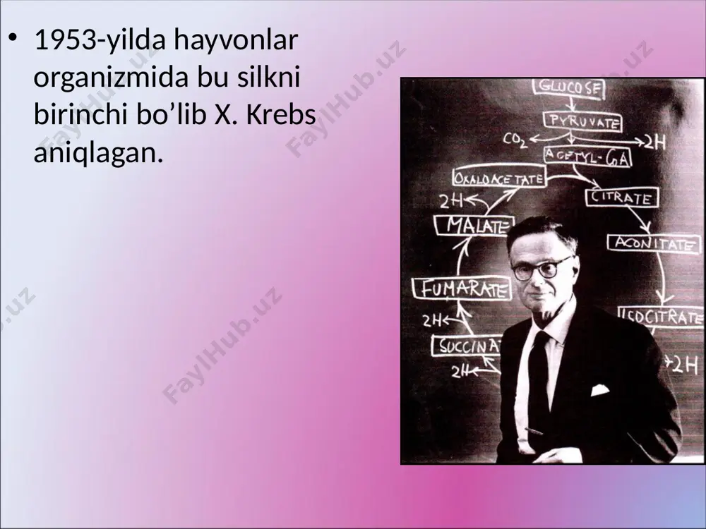 krebs sikli - Page 4