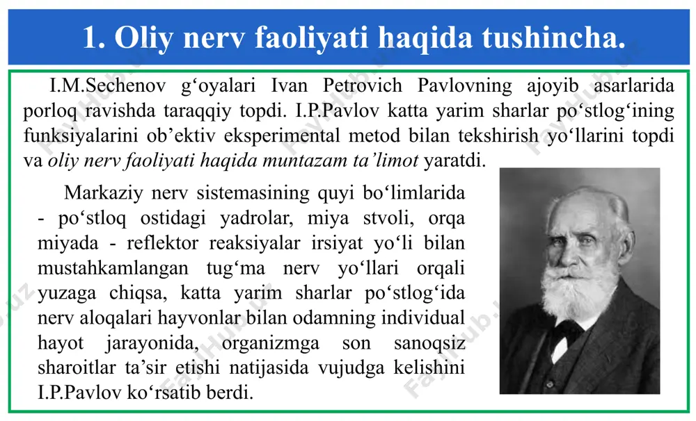 oʻzgʻalayotgan bosh miya poʻstlogʻi sohalari orasida neyronlar va ularning sinaps sohasi yoʻgʻonlashishi kuzatiladi. bundan tashqari, neyron tanasi impuls kelayotgan tomonga va uning oʻsimtasi esa qoʻzgʻalish uzatilayotgan tomonga qarab uzayadi va bu oʻzgarishlar natijasida qoʻzgʻalishning oʻtkazilishi tezlashadi. 2. shartsiz va shartli reflekslar. a.i.roytbak fikricha, vaqtinchalik aloqaning hosil boʻlishi asosida mana shu ikki nuqta orasidagi neyronlarning mielin qobigʻi bilan qoplanishi yotadi. p.k.anoxin boʻyicha vaqtinchalik aloqa shartli va shartsiz ta’sirotlar bosh miya poʻstlogʻining bitta neyroniga kelib tugashi va mana shu neyron aksoplazmasida ketadigan kimyoviy jarayon natijasida rnk kodi oʻzgaradi va vaqtinchalik aloqani ta’minlovchi oqsil molekulasi sintezlanadi. 2. shartsiz va shartli reflekslar. shartli refleks turlari tabiiy shartli refleks sun’iy shartli refleks shartsiz ta’sirotning tabiiy belgilariga, xossalari nisbatan hosil boʻlgan shartli refleks goʻshtning hidiga, koʻrinishiga va h.k. shartsiz refleksga hech qanday aloqasi boʻlmagan ta’sirotga shartli refleks hosil qilish qoʻngʻiroq chalish va uni ovqatlantirish bilan mustaxkamlash 2. shartsiz va shartli reflekslar. shartli ta’sirotni qabul qilayotgan retseptorlar …