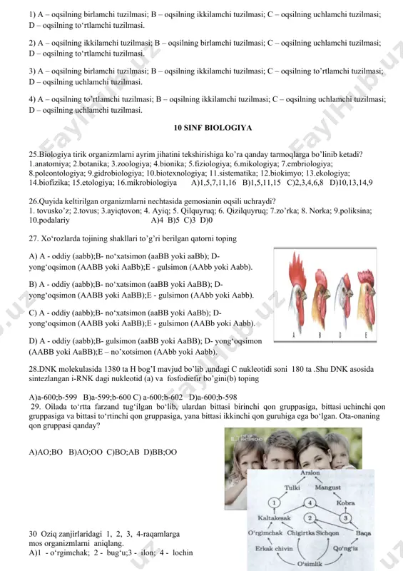 ergiya hosil bo`ladi, 2) hujayrani tarangligi ortadi, 3) hujayra va to`qimalardagi barcha hayotiy jarayonlar qo`zg`alish, harakatlanish, ko`payish ana shu energiya hisobiga amalgam oshadi, 4) hujayrani hayotchanligi ortadi, 5) hayotiy jarayonlar natijasida hosil bo`lgan karbonat angidrid gazi hujayra va to`qimalardan qonga o`tib o`pkalar orqali tashqi muhitga chiqariladi a) 1,3,5, b) 1,2,5, c) 1,3,4, d) 1,3,2, 16. nafas yo'llarinmg surunkali shamollashi, chekish va spirtli ichimliklarni tez-tez iste’mol qilish qaysi organni zo’riqishiga sabab bo’ladi. a) kekirdak b) burun bo’shlig’i c)hiqildoq d) bronxlar 17.yumshoq to’qimali nafas olish organi qaysi ? a) hiqildoq b) kekirdak c) bronxlar d) o’pka 18.o'pkaning tiriklik sig‘imi odam tug‘ilganidan so‘ng voyaga yetgunicha necha martagacha ortadi. a) 35 b) 45 c) 50 d) 40 19.rasmdagi organga mos tushadigan ma’lumot berilgan qatorni toping 1.shakli konussimon;2.ko’krak bo’shlig’ini to’ldirib turadi;3 o’ng o’pka ikkita bo’lakdan iborat; 4.ikkala o’pkada 750 mln ta alveola bor;5 biriktiruvhi to’qimadan iborat ikki qavat plevradan iborat ;6 ikkala o’pkada 750 mingta …