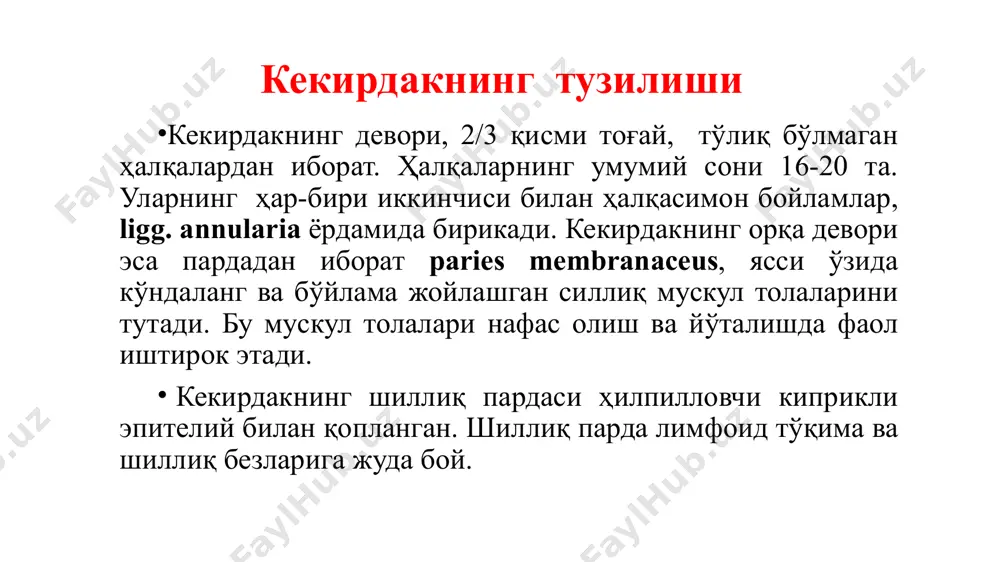 ишига мувофиқ, бош бронхлар ўпка дарвозасига бориб, бўлак бронхларига bronchi lobares га бўлинади. ўнг бронх ўпка дарвозасига артериядан юқорида тургани учун эпиартериал бронх деб аталади. бошқа барча бронхлар артерия остида жойлашади. бўлак бронхлари ўпка паренхимасига кириб, ўз навбатида учинчи тартибли бронхларга, сегментар бронхларга brоnchi segmentales га бўлинади. чунки бу бронхлар ўпка тўқимасининг маълум қисмининг ҳаво алмашинишини таъминлайди. сегментар бронхлар ҳам ўз навбатида дихотомик бўлинади. бунинг натижасида тўртинчи тартибли бронхлар юзага келади. шу тарзда охирги ва нафас бронхиолаларигача бўлинади. ўпканинг тузилиши. бронхларнинг шохланиши бронхлар скелети уларнинг ўпканинг ичида ёки ташқарисидалигига қараб, ҳар хил механик таъсирларнинг уларга нисбатан ҳар хиллигига қараб тузилиши ҳам ҳар хилдир. ўпкадан ташқаридаги бронхлар деворлари ярим ҳалқа тоғайлардан иборат бўлса, ўпка дарвозасига борганда ярим ҳалқа тоғайлар орасида тоғай бойламлар пайдо бўлиб, бронх деворининг тузилиши панжара шаклида бўлади. сегментар бронхлар ва кейинги шохланишларида тоғайлар ярим ҳалқа шаклини йўқотади. ярим ҳалқа тоғайлар бир неча тоғай пластинкаларига бўлиниб кетади. бронхларнинг калибрлари …