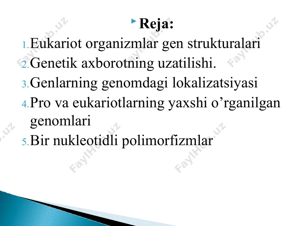 a kompartamentlarida (organellalarida), kamroq qismi esa mitoxondriyalarda, xloroplastlarda va plastidalarda joylashgan. xuddi prokariotlarniki singari eukariotlarning ham informatsion makromoleklasi dnk hisoblanadi va u bir necha xromosomalarda ko’p sonli oqsillar bilan birgalikda kompleks holatida tekis taqsimlangan. eukariotlarning dnk-oqsil kompleksi xromatin deb ataladi. eukariotlar umumiy xromosomalar yig’indisi kariotip deb nomlanadi va u sistematikada qo’llaniladi. 1-jadvalda keltirilganidek, eukariotlardagi bitta hujayra hisobidagi dnk ning miqdori prokariotlarga nisbatan o’rta hisobda 2-3 marta ko’proq va bu turli organizmlarda 168 nukleotidlar juftidan (nj) (amfibiyalarda) 1 nj gacha o’zgarib turadi. eukariotlarning genomi juda ham ajoyib tarzdagi nukleotidlarning ketma-ketliklaridan iborat. bu ketma-ketliklarning tarkibida ko’plab strukturaviy genlarning mavjud bo’lishiga qaramasdan bu ketma-ketliklarning ko’pchilik qismi kodlanmaydigan hisoblanadi va o’zining tarkibida axborotlarni saqlamaydi. bunday ketma-ketliklarga misol sifatida umumiy o’lchami qoidaga binoan ekzonlarning umumiy o’lchamidan oshmaydigan intronlarni keltirish mumkin. ko’rinib turibdiki, organizmlarning morfologik darajadagi murakkablashuvi asosidagi evolyutsion jarayon unga mos ravishdagi molekulyar – genetik darajadagi murakkablashuvni vujudga keltirgan. shuning uchun lantsetnikning genomi odamning genomiga …