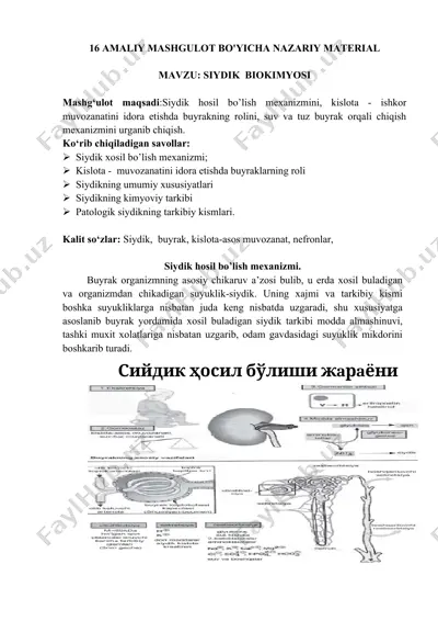 amaliy mashgulot bo'yicha nazariy material — DOCX