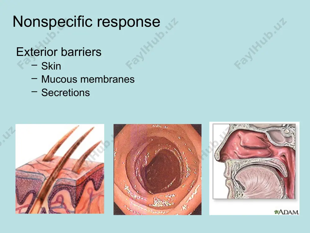 the cell transplant to make them tolerogenic tolerogenic: capable of producing immunological tolerance image1.jpeg image2.jpeg image3.jpeg image4.jpeg image5.png image6.jpeg image7.jpeg image8.jpeg image9.jpeg image10.jpeg image11.jpeg image12.jpeg image13.jpeg image14.jpeg image15.jpeg image16.jpeg