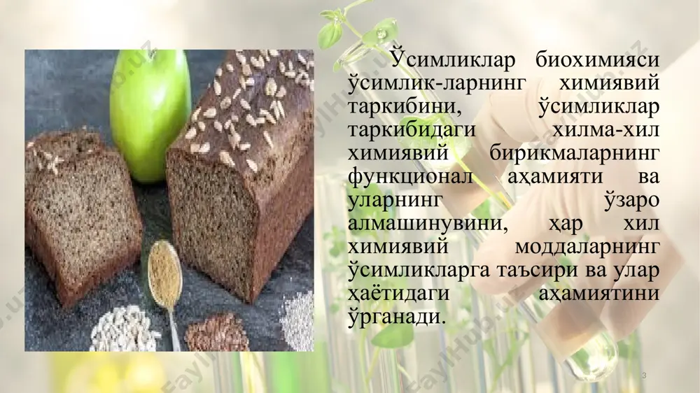 ишида эркин кислород иштирок этишини исботлади. палладин эса организмдаги оксидланиш-қайтарилиш реакцияларининг моҳиятини аниқлади, нафас олишда сув иштирок этишини исботлади ҳамда водороднинг кўчишини кашф этди. * ўсимликлар биохимиясининг ривож-ланишида а.н.опариннинг (1892-1982) хизматлари катта. у ўсимликлар организмида кечадиган ферментатив процессларни мукаммал текшириш натижасида ўсимликлар хом ашёсини сақлаш ва қайта ишлашнинг биохимиявий асосларини яратди. * барча тирик организмларнинг таркибий қисмини ташкил этадиган бирикмаларнинг энг муҳими ва аҳамиятлиси оқсиллардир. улар ҳаёт фаолиятининг барча процессларида ҳал қилувчи роль ўйнайди. оқсиллар протеинлар деб ҳам аталади (protos – грекча бирламчи, муҳим демакдир). оқсиллар ҳар бир тирик организмнинг таркибий қисми ҳисобланади. * ҳаёт процессларига хос бўлган барча асосий хусусиятлар оқсилларда мужассамлашган: а) оқсиллар ферментатив хусусиятга эга. моддалар алмашинуви процессида борадиган барча химиявий реакциялар фақат ферментлар таъсирида катализланади; б) оқсиллар бошқа моддалар билан биргаликда ҳужайра ва унинг органоидлари структурасини ташкил этиб, ҳужайранинг танлаб ўтказиш хусусиятини бошқаришда иштирок этади; * в) оқсилларга хос хусусиятлардан яна бири қисқарувчанликдир. айрим оқсиллар, масалан, …