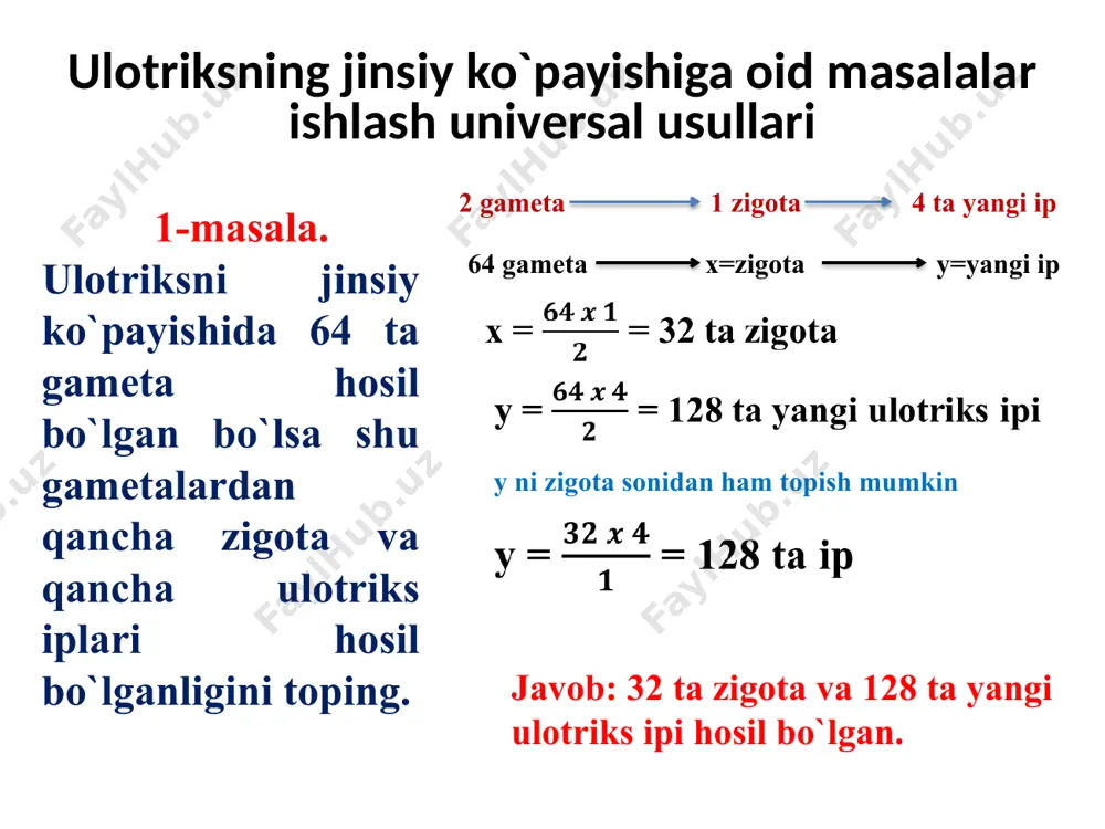 ulotriksning jinsiy ko`payishiga oid masalalar ishlash universal usullari - Page 3
