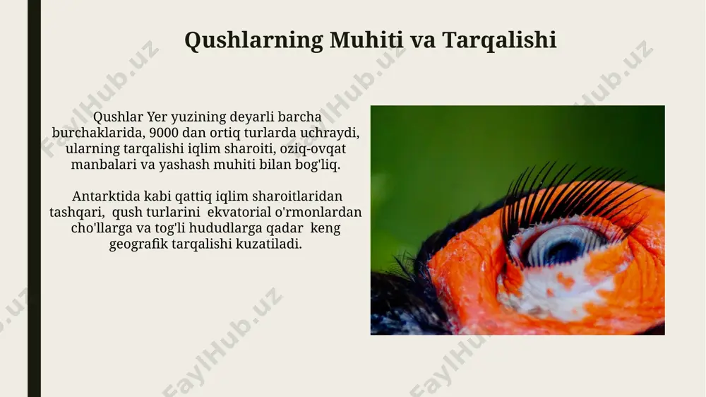qushlarning biologiyasi - Page 5