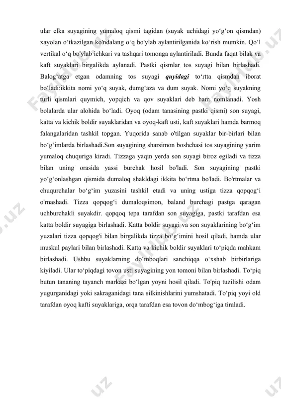 yagi biroz egiladi va tizza bilan uning orasida yassi burchak hosil bo'ladi. son suyagining pastki yo‘g‘onlashgan qismida dumaloq shakldagi ikkita bo‘rtma bo'ladi. bo'rtmalar va chuqurchalar bo‘g‘im yuzasini tashkil etadi va uning ustiga tizza qopqog‘i o'rnashadi. tizza qopqog‘i dumaloqsimon, baland burchagi pastga qaragan uchburchakli suyakdir. qopqoq tepa tarafdan son suyagiga, pastki tarafdan esa katta boldir suyagiga birlashadi. katta boldir suyagi va son suyaklarining bo‘g‘im yuzalari tizza qopqog'i bilan birgalikda tizza bo‘g‘imini hosil qiladi, hamda ular muskul paylari bilan birlashadi. katta va kichik boldir suyaklari to‘piqda mahkam birlashadi. ushbu suyaklarning do‘mboqlari sanchiqqa o‘xshab birbirlariga kiyiladi. ular to‘piqdagi tovon usti suyagining yon tomoni bilan birlashadi. to‘piq butun tananing tayanch markazi bo‘lgan yoyni hosil qiladi. to'piq tuzilishi odam yugurganidagi yoki sakraganidagi tana silkinishlarini yumshatadi. to‘piq yoyi old tarafdan oyoq kafti suyaklariga, orqa tarafdan esa tovon do‘mbog‘iga tiraladi. adabiyotlar: 1. baymetov b. “qalamtasvir”. darslik 1-qism. - toshkent, 2006. 2. мuratov х.х. “qalamtasvir”, тоshkent, ijod-print, 2020. …