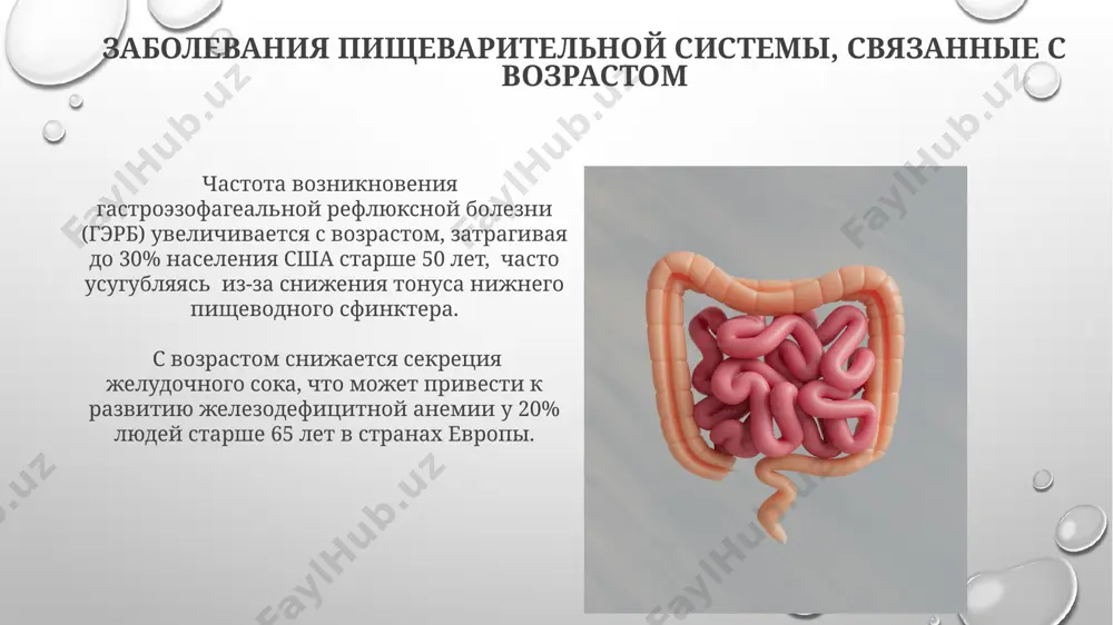 аривания белков и повышает риск развития гастритов. с возрастом секреция соляной кислоты желудком снижается примерно на 30% к 70 годам, что может наблюдаться у 75% людей старше 65 лет в москве и санкт-петербурге, приводя к нарушению пищеварения. возрастные изменения толстой кишки толщина стенки толстой кишки уменьшается примерно на 10-15% после 60 лет, что может повышать риск развития дивертикулов, особенно в сигмовидной кишке, часто встречающейся в северной америке. скорость перистальтики толстой кишки замедляется с возрастом, что может увеличивать время прохождения пищи через кишечник до 40% у людей старше 80 лет, приводя к запорам в таких странах, как япония, с традиционным рационом питания. моторика желудка в пожилом возрасте в исследованиях, проведенных в санкт-петербурге, показано снижение желудочной перистальтики на 20-30% у пациентов старше 70 лет, сопровождающееся увеличением времени транзита пищи через желудок. уменьшение скорости опорожнения желудка у людей старше 65 лет в среднем на 50% по сравнению с молодыми взрослыми наблюдается во многих …