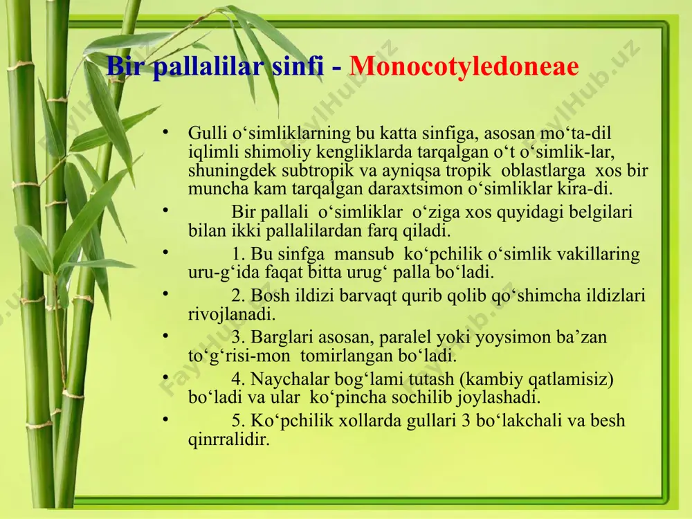 lda piyozchasidan o‘sgani esa 4-5 yilda gullab urug‘ beradi. uning guli juda chiroyli. keyingi paytlarda odamlarning shavqatsiz yulishi piyozchalarini kovlab olishi natijasida juda kamayib ketdi. hozirgi paytda u muhofaza qilinadi va o‘zbekistonning qizil kitobiga kiritilgan. daraxtsimon aloy - aloyo arborescens mill. yer yuzida aloening 250 dan ortiq turi mavjud. ular orasida bo‘yi 10 m ga yetadiganlari ham mavjud. aloelar yovvoyi holda afrikada, hindistonda, madagaskar, va saudiya arabistonda tarqalgan. bizda xonalarda va issiqxonalarda o‘stiriladigan aloe afrikadan chiqqan. daraxtsimon aloe bo‘yi 4 m ga yetadigan sershira doim yashil daraxtsimon o‘simlik poyasi tik o‘suvchi bo‘lib pastki qismi shoxlangan. poyasining asos qismidan chiqqan juda ko‘p yon kurtaklar o‘simlikning vegetativ ko‘payishida katta ahamiyatga ega. bargi yumshoq, etdor, sershira yashil qilichsimon yuqori tomoni botiq, pastki tomoni do‘ng qirrasi tikanli uzunligi 20-65 sm qalinligi 12-15 mm ga teng bo‘lib qini bilan poyada ketma ket joylashgan. gullari to‘pbarg o‘rtasidan chiqqan uzun silindrsimon gul o‘qiga joylashib shingil to‘pgulni hosil …