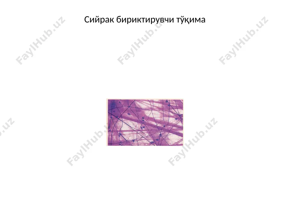 комплекси, д – митохондриялар); 2 – асосий модда, 4 – ретикуляр толалар ёғ тўқима: судан билан бўяш: iii (а), тери ости клетчатка препарати (в) 1 – ёғ ҳужайралари (б – цитоплазма, в – ёғ киритмалар, д - ядро), 2 – қон томир, 3 – ёғ тўқимасининг бўлаги, 4 – бириктирувчи қатлам
