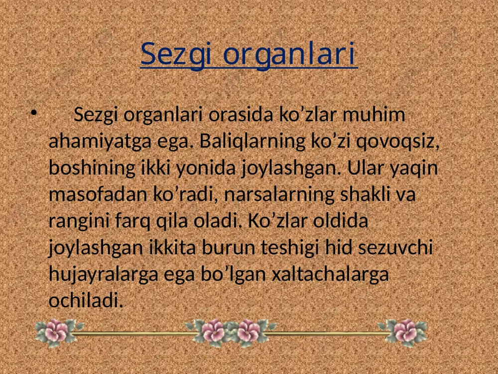 baliqlarning markaziy nerv sistemasi - Page 4