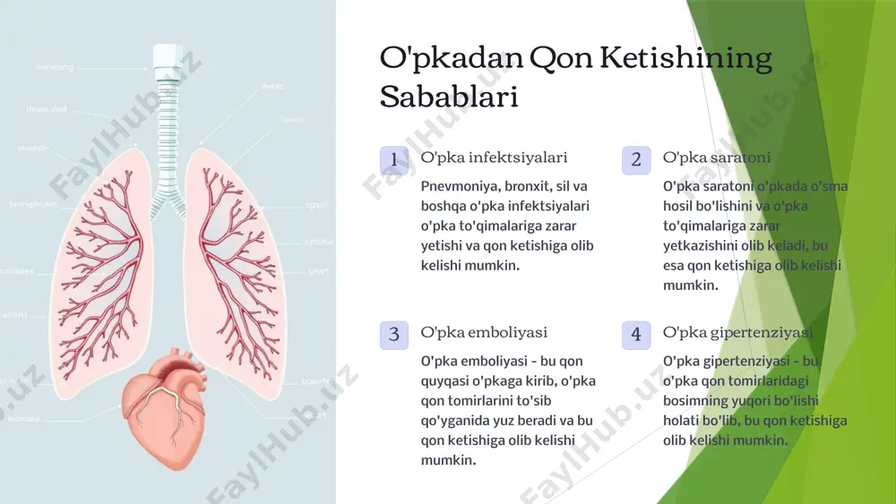 ordam chora-tadbirlari dam olish bemorni tinchlantirib, dam olishga yordam berish. kislorod berish agar kerak bo'lsa, bemorga kislorod berish. tibbiy yordamga murojaat qilish tez tibbiy yordamga murojaat qilish kerak. stasionar davolash usullari dori-darmonlar qon ivishini to'xtatuvchi dori-darmonlar, o'pka qon tomirlarini kengaytiradigan dori-darmonlar va antibiotiklar. kislorod terapiyasi qonning kislorod bilan to'yinishini oshirish. jarrohlik amaliyoti qon ketishining sababini bartaraf qilish uchun, masalan, o'pka o'smasini olib tashlash yoki qon tomirlarini tiklash. o'pkadan qon ketishidan keying reabilitatsiya nafas olish mashqlari o'pkangizning faoliyatini yaxshilash va nafas qisishni kamaytirish. jismoniy mashqlar mushaklaringizni mustahkamlash va umumiy sog'lig'ingizni yaxshilash. to'g'ri ovqatlanish sog'lom oziq-ovqatlarni iste'mol qilish orqali tanangizni tiklash. tibbiy nazorat shifokorning tavsiyalarini bajarish va muntazam tibbiy tekshiruvdan o'tish. kasnio guruhlari uchun profilaktika chora-tadbirlari 1 chekishni tashlash chekish o'pka kasalliklari xavfini sezilarli darajada oshiradi. 2 sog'lom turmush tarzi to'g'ri ovqatlanish, muntazam mashq qilish va stressni boshqarish. 3 vaksinalar gripp va pnevmoniya kabi o'pka infektsiyalaridan himoya qilish uchun vaksinalarni olish. xulosa …