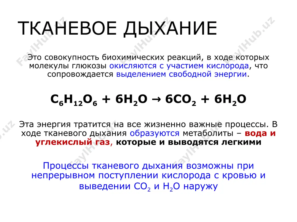 малого круга кровообращения. границей между кровью, движущейся по этим капиллярам, и воздухом, находящимся в альвеолах, служат два слоя клеток (аэрогематический барьер): клетки эпителия альвеол клетки эпителия капилляров. если бы можно было расправить все альвеолы легких человека на одной плоскости, то получилась бы поверхность, равная примерно 100 м2. так как стенки альвеол растяжимы, при глубоком дыхании вся поверхность увеличивается примерно в два раза. это обеспечивает усиление газообмена. газообмен в альвеолах происходит по принципу диффузии – газы поступают в область с наименьшей концентрацией, то есть кислород переходит из альвеол в капилляры, а углекислый газ - из капилляров в альвеолы анатомически «мертвое» пространство воздух, находящийся в воздухоносных путях, не участвует в газообмене, поэтому просвет воздухоносных путей называется «мертвым» пространством. объем анатомического мертвого пространства около 150 мл. хотя в воздухоносных путях не происходит газообмена, они необходимы для нормального дыхания, так как в них происходит увлажнение, согревание, очищение от пыли и микроорганизмов вдыхаемого воздуха (кашель …