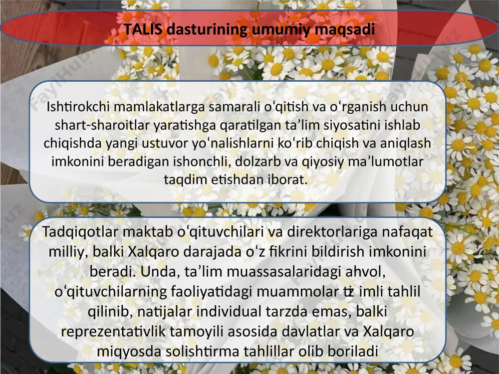 talis xalqaro baholash dasturi - Page 5