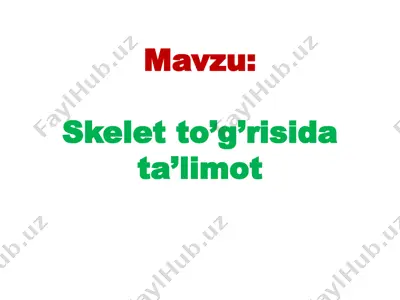 skeletto’g’risi dasturi — PPTX