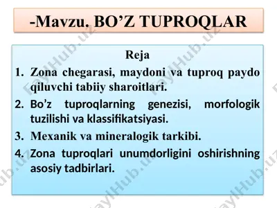 bo'ztuproqlar — PPTX