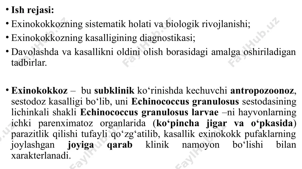 va endogen yo‘llar orqali kurtaklanib ikkilamchi (qizlik) va uchlamchi (nevaralik) pufaklarni hosil qilish qobiliyatiga ega bo‘lib, ichi tiniq suyuqlik bilan to‘lgan va ichki germinativ qobig‘ida parazit skolekslari bo‘ladi. echinococcus acephalosysticus – bunday pufaklarning ichi suyuqlik bilan to‘lgan bo‘lib, ichki germinativ qobig‘ida parazit skolekslari bo‘lmaydi, ya’ni ular toza (steril) pufaklar hisoblanadi, lekin ichki germinativ qobiq kurtaklanib ikkilamchi va uchlamchi pufaklarni hosil qilishi mumkin, biroq ularda ham parazit skolekslari hosil bo‘lmaydi, qaysikim bunday pufaklar epidemiologik va epizootologik ahamiyatga ega emas. echinococcus granulosus - juda ham mayda sestoda bo‘lib, uzunligi 0,5-0,9 sm gacha bo‘lib, 3-4 ta bo‘g‘inlardan iborat, shulardan 1-2-chi bo‘g‘inlari jinssiz, uchinchi bo‘g‘in – germafrodit va oxirgi bo‘g‘ini etilgan bo‘g‘in hisoblanib, parazit tuxumlari bilan to‘lgan bo‘ladi, etilgan bo‘g‘inning uzunligi qolgan tana uzunligidan katta bo‘ladi, parazit tanasi differensial ahamiyatga ega bo‘lgan uch qismdan iborat: skoleksi (boshchasi) – yumaloq-ovalsimon shaklda bo‘lib, to‘rtta muskulli so‘rg‘ichi bor, ularning ustida parazitning xartumchasi joylashgan bo‘lib, ikki qator, biri …