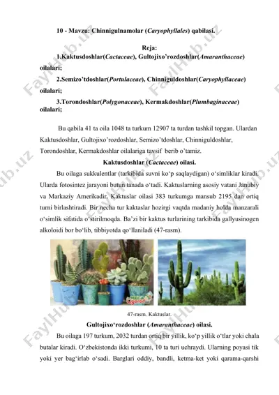 chinnigulnamolar (caryophyllales) qabilasi — DOCX