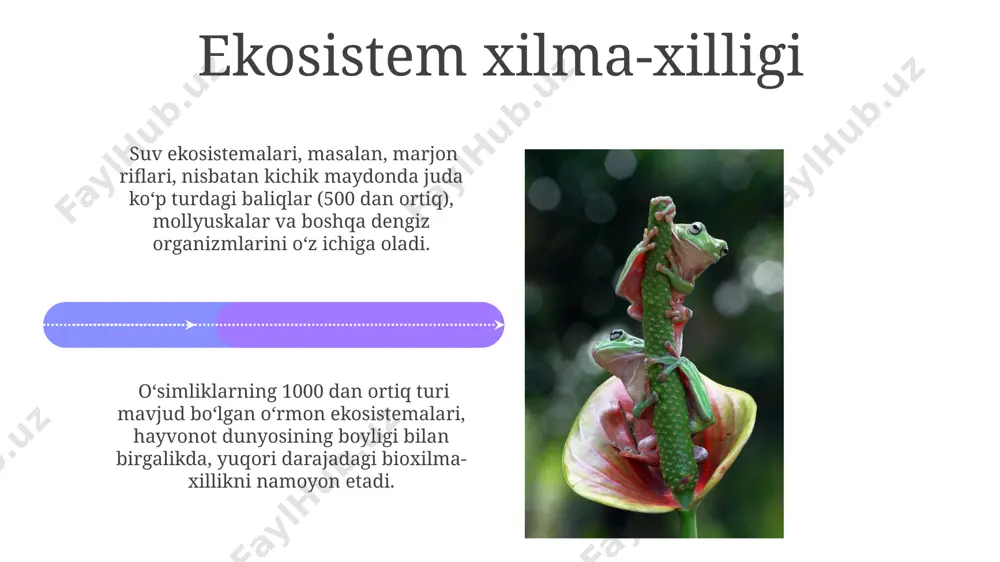 on yil avval yuz bergan kretatsiy davrining oxiridagi ommaviy qirilish ko'plab turlarning yo'q bo'lib ketishini, ammo keyinchalik yangi turlarining paydo bo'lishini va evolyutsion radiatsiyani keltirib chiqardi. biologik xilma-xillikning paydo bo'lishi yerning 4,5 milliard yillik tarixi davomida, bir hujayrali organizmlarning paydo bo'lishidan murakkab ko'p hujayrali turlarning evolyutsiyasiga qadar bo'lgan jarayonni o'z ichiga oladi. genetik xilma-xillik genetik xilma-xillik diploid organizmlarda allellar sonining ko'payishi va ularning turli kombinatsiyalari hisobiga 10 6 dan ortiq genotiplar hosil bo'lishiga olib keladi. inson genomida taxminan 20000 ta gen mavjud bo'lib, ularning har biri ko'plab allellarga ega, bu esa genetik xilma-xillikning ulkan hajmini aks ettiradi. e'tiboringiz uchun rahmat @taqdimot_robot image4.jpg image5.jpg image6.jpg image7.jpg image8.jpg image9.jpg image10.jpg image11.jpg image12.jpg image13.jpg image14.jpg image15.jpg image16.jpg image17.jpg image18.jpg image19.jpg image20.jpg image1.jpeg image2.jpeg image3.jpeg