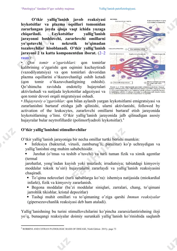 rsizlantirilmasa jarayon surunkali tus olishi va turli patologik oqibatlarga olib kelishi mumkin.[footnoteref:3] [3: robbins and cotran pathologic basis of disease, ninth edition 2015y. page 71-72] o’tkir yallig’lanish o’tkir yallig’lanish javob reaksiyasi leykotsitlar va plazma oqsillari tomonidan zararlangan joyda qisqa vaqt ichida yuzaga chiqariladi. leykotsitlar yallig’lanish jarayonni boshlovchi, zararlovchi omillarni yo’qotuvchi va nekrotik to’qimadan tozalovchilar hisoblanadi. o’tkir yallig’lanish jarayoni 2 ta katta komponentdan iborat. (2–2 rasm): • qon tomir o’zgarishlari: qon tomirlar kalibrining o’zgarishi qon oqimini kuchaytiradi (vazodilyatatsiya) va qon tomirlari devoridan plazma oqsillarini o’tkazuvchanligi oshib ketadi (qon tomir o’tkazuvchanligining oshishi). qo’shimcha ravishda endoteliy hujayralari aktivlashadi va natijada leykotsitlar adgeziyasi va qon tomir devori orqali migratsiyasi oshadi. • hujayraviy o’zgarishlar: qon bilan aylanib yurgan leykotsitlarni emigratsiyasi va zararlanishni bartaraf etishga jalb qilinishi, ularni aktivlanishi, followed by activation of the leukocytes, zararlovchi omillarni bartaraf etish jarayonida leykotsitlarning o’limi. o’tkir yallig’lanish jarayonida jalb qilinadigan asosiy hujayralar bular neytrofillardir (polimorfyadroli leykotsitlar).[footnoteref:4] [4: robbins and …