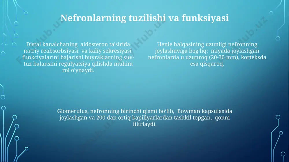 uyrakdagi suvning qayta so'rilishini tartibga soladi, natijada siydik hajmi o'zgaradi; adh darajasi past bo'lganda, kuniga 10 litrgacha siydik ajralishi mumkin, aksincha, yuqori bo'lganda esa, siydik miqdori kamayadi. buyraklar kuniga taxminan 180 litr qonni filtrlaydi va shu orqali organizmda suv balansini 2-3 litr atrofida ushlab turadi, ortiqcha suvni siydik sifatida chiqaradi. buyrakdagi nefronlar, ayniqsa, henle pastadirining uzunligi, suvning qayta so'rilish darajasini belgilaydi va bu jarayon organizmning suv balansini saqlashda muhim rol o'ynaydi, masalan, cho'l hududlarida yashovchi odamlarda uzunroq henle pastadiri kuzatiladi. buyraklarning gormonlar ishlab chiqarishi buyraklar, qon bosimini tartibga soluvchi renin fermentini ishlab chiqaradi; bu ferment angiotensin ii gormonining faollashishiga olib keladi, natijada qon tomirlarining torayishi va aldosteron ajralishi kuchayadi. bu jarayon jigar va buyraklar o'rtasida amalga oshiriladi. buyraklar, qonda eritrotsitlar hosil boʻlishini tartibga soluvchi eritropoetin gormonini ishlab chiqaradi, bu jarayon asosan buyrakning 1 million nefronidan 100 mingta kortikomedulyar hududidagi hujayralar tomonidan amalga oshiriladi. buyraklar 1-alfa-gidroksilaza fermenti yordamida 25-gidroksi-d3ni faol 1,25-dihidroksi-d3 …