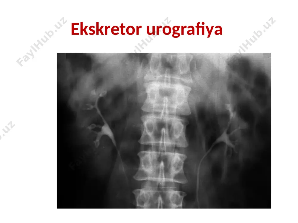 urologik diagnostika apparatlari - Page 3