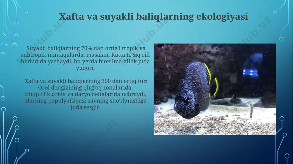 tog'ayli va suyakli baliqlarning sistematikasi - Page 3