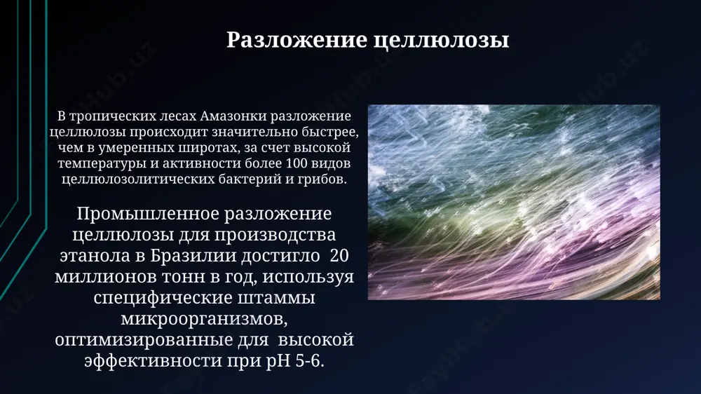 целлюлоза - Page 4