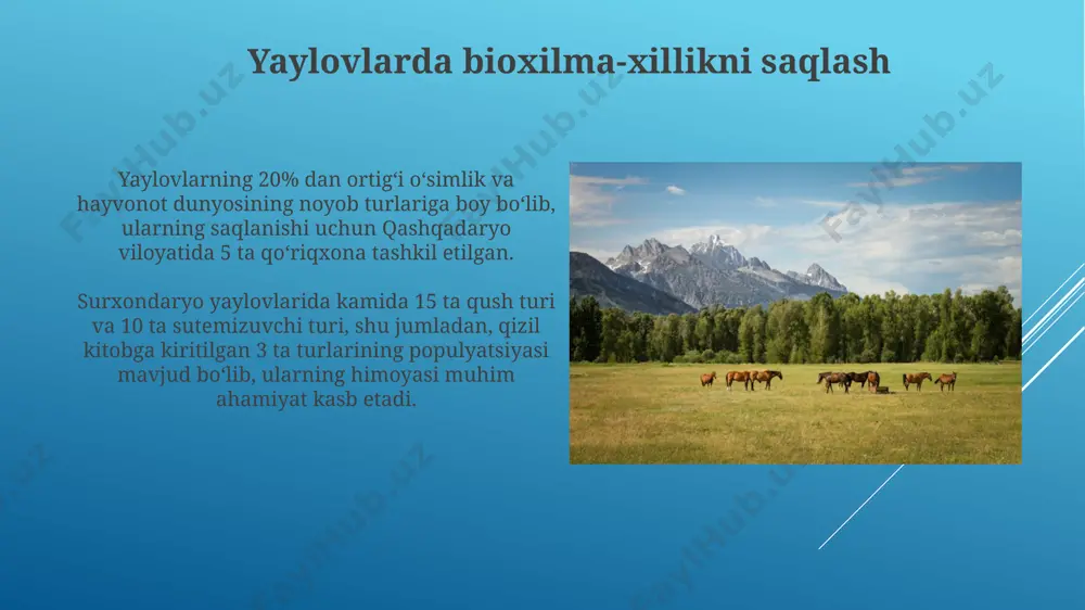 yaylov o'simliklari va hayvonlari - Page 5